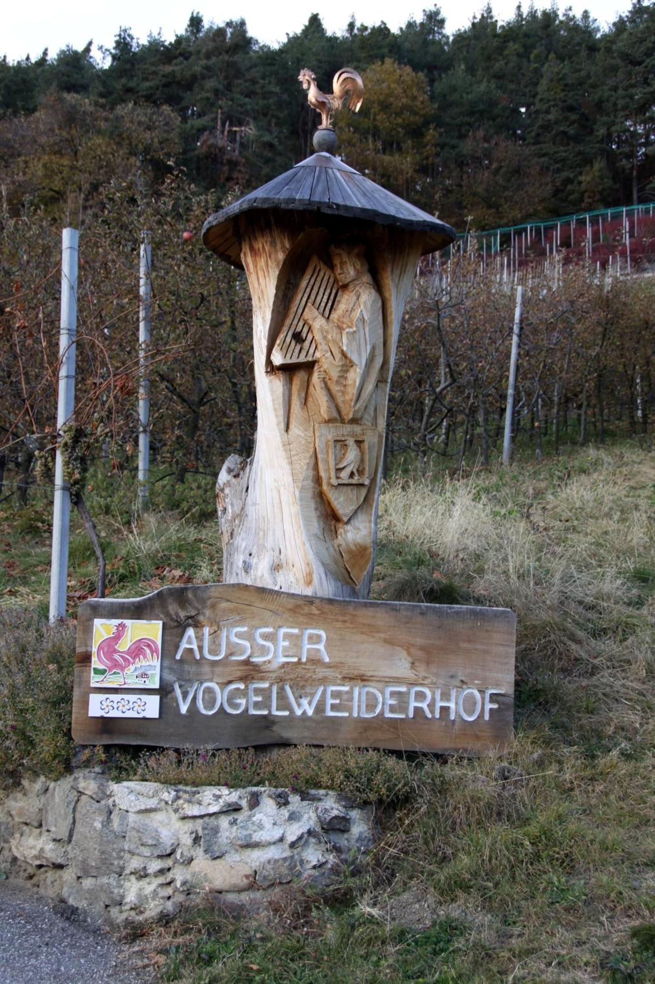 Ausservogelweiderhof
