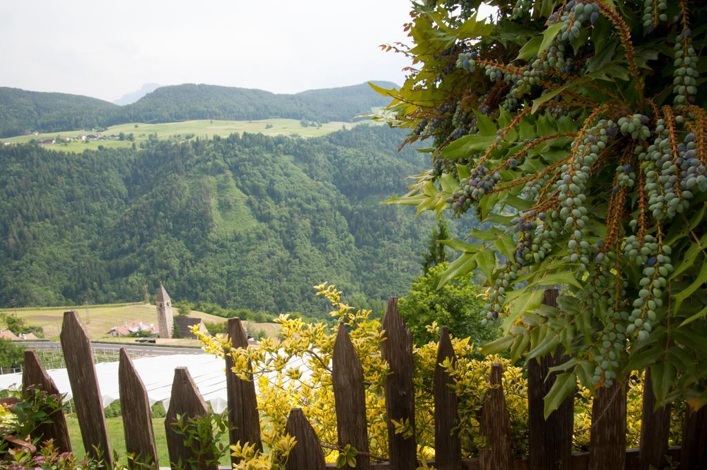 Ausservogelweiderhof