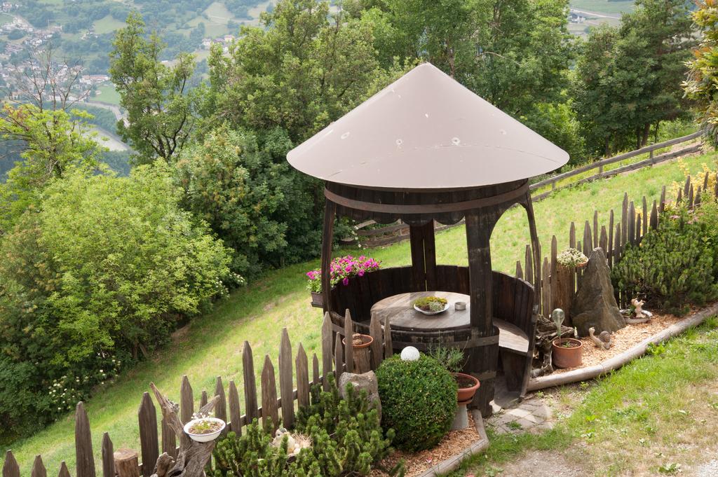 Ausservogelweiderhof Laion