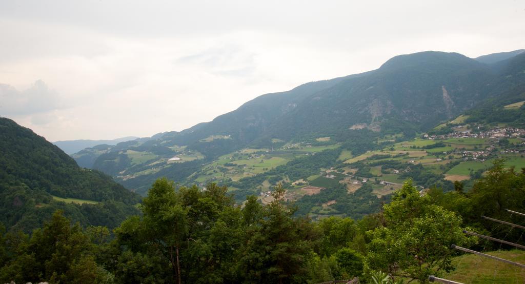 Ausservogelweiderhof Laion